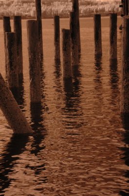 DSC_1024_resize.JPG