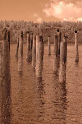DSC_1025_resize.JPG