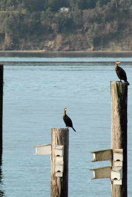 DSC_3907_resize.JPG