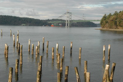 DSC_3910_resize.JPG