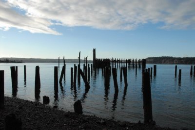 DSC_3920_resize.JPG