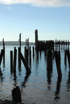 DSC_3922_resize.JPG