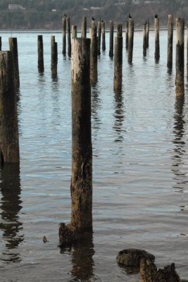 DSC_3923_resize.JPG