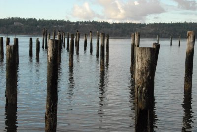 DSC_3924_resize.JPG