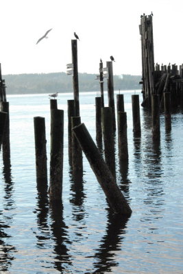 DSC_3930_resize.JPG