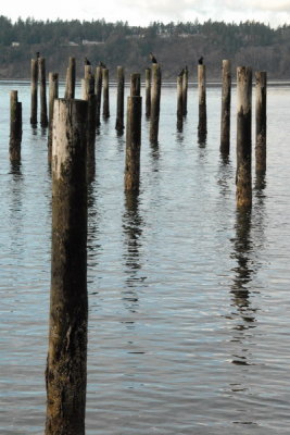 DSC_3932_resize.JPG