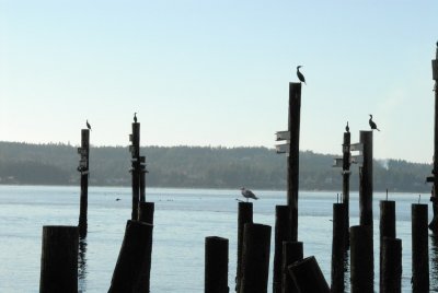 DSC_3938_resize.JPG