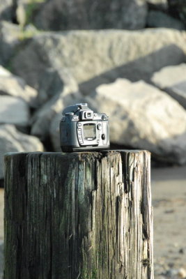 DSC_3948_resize.JPG