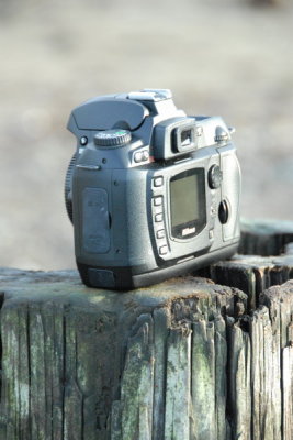 DSC_3949_resize.JPG
