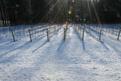 DSC_4054_resize.JPG