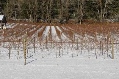 DSC_4058_resize.JPG