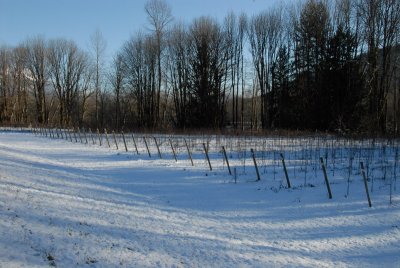 DSC_4060_resize.JPG