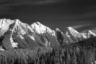 DSC_1162_resize.jpg