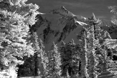 DSC_1177_resize.jpg