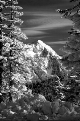DSC_1183_resize.jpg