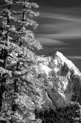DSC_1187_resize.jpg