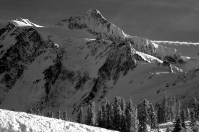 DSC_1195_resize.jpg