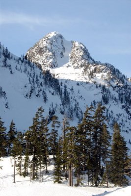 DSC_4195_resize.jpg