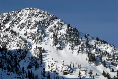 DSC_4199_resize.jpg