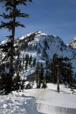 DSC_4201_resize.jpg