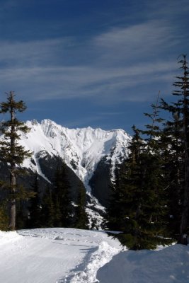 DSC_4202_resize.jpg