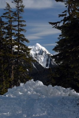 DSC_4205_resize.jpg