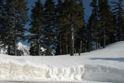 DSC_4213_resize.JPG
