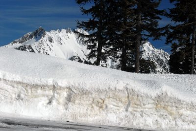 DSC_4214_resize.jpg