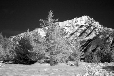 DSC_1337_resize.jpg