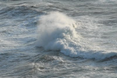 DSC_4746ab_resize.jpg