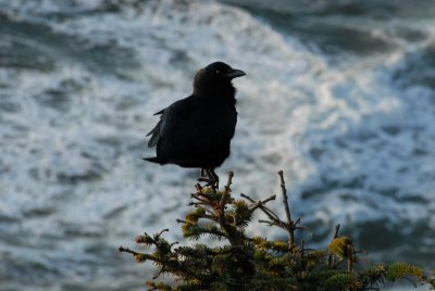 DSC_4751_resize.JPG