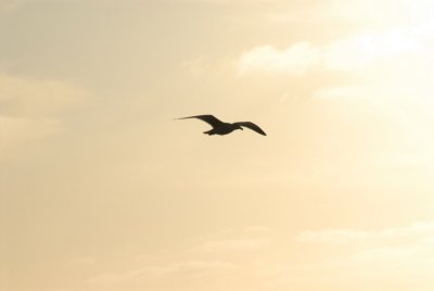 DSC_4773_resize.JPG