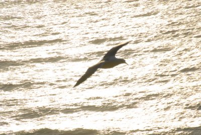 DSC_4774_resize.JPG