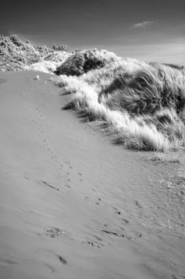 DSC_1676a_resize.jpg