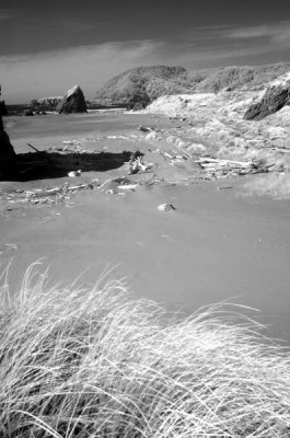 DSC_1677a_resize.jpg