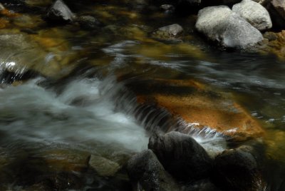 DSC_5683_resize.JPG