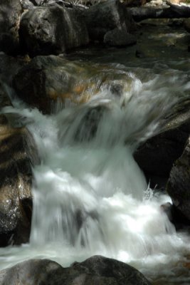 DSC_5702_resize.JPG
