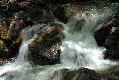 DSC_5703_resize.JPG