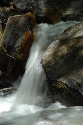 DSC_5706_resize.JPG