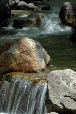 DSC_5722_resize.JPG