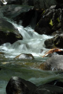 DSC_5723_resize.JPG