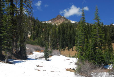 DSC_6060_resize.JPG