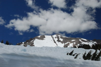 DSC_6112_resize.JPG