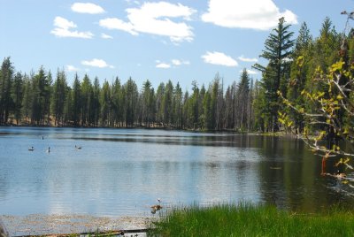 DSC_6139_resize.JPG