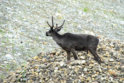 DSC_8304_resize.JPG