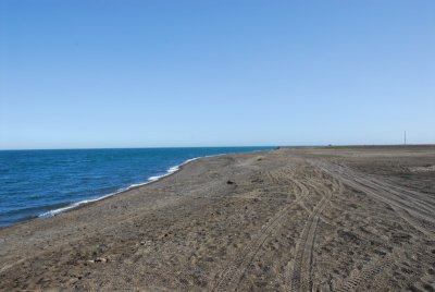 DSC_6438_resize.JPG
