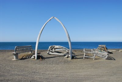 DSC_6444_resize.JPG