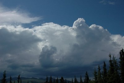 DSC_5140_resize.JPG