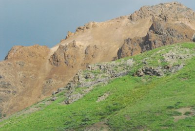 DSC_6986_resize.JPG