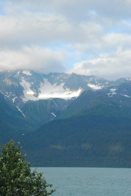 DSC_7237_resize.JPG